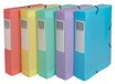 Exacompta 16270E - 10 ordners met CARTOBOX elastieken - plat verpakt - rug 6 cm - polypropyleen Chromaline pastel - 25 x 33 cm - A4