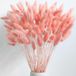 Ibenzoa® Pampasgras en Droogbloemen Collectie - Rose, 43 cm