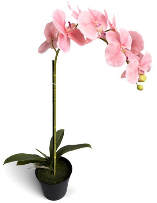 Oosterik Home Orchidee new pink in pot H 64 cm kunstplant