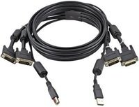 Avocent USB keyboard / mouse / dual head DVI-I video cable