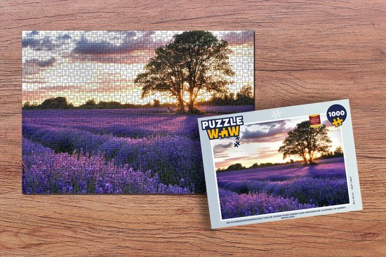 MuchoWow Puzzel De avondzonsondergang van de zomer over gebied van organische lavendel in Surrey, Engeland. - Legpuzzel - Puzzel 1000 stukjes volwassenen