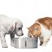 GarveeMore Waterfontein voor katten, 3,2 l, roestvrij staal, met waterniveauvenster, koolstoffilter, USB, stil, dubbele uitgang