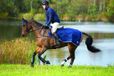 Horseware Rambo Couverture de compétition imperméable en polaire bleu marine 140/191 cm