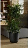 Merkloos EDA Bloempot Opal Chape Zwart Ø 29,5 cm