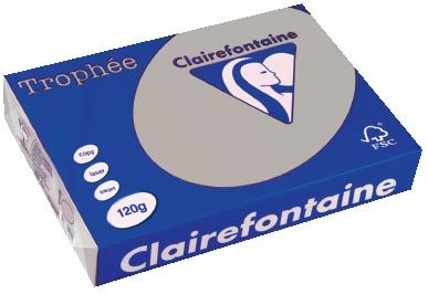 Clairefontaine Trophée Pastel A4 lichtgrijs 120 g 250 vel