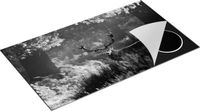 Chefcare Inductie Beschermer Hert in de Bossen - Zwart Wit - 90x55 cm