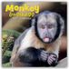 Monkey The Gifted Monkey Business 2027 - 16-Monatskalender