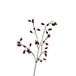Roberts Collection rozenbottels 76cm burgundy