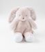Noukie's B&M Knuffel – 25 cm – Moka