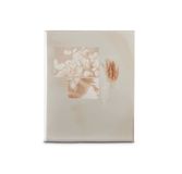 Hama Singo II foto-album Beige 40 vel Perfect binding