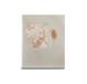 Hama Singo II foto-album Beige 40 vel Perfect binding