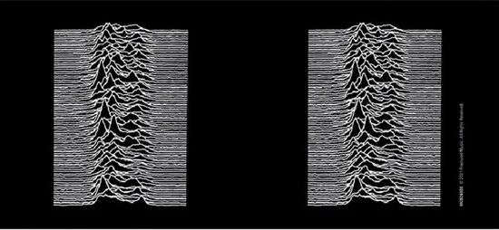 Joy Division Kop - Unknown Pleasures - meerkleurig