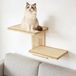 Mur d'escalade pour chat, éléments muraux, escalier pour chat avec 2 plateformes et tapis en sisal, poteau griffoir fixation murale pour chat