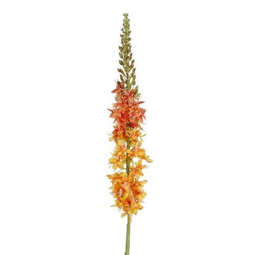 Mica Decorations kunstbloem Eremurus