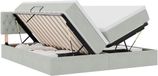 vidaXL Lit de rangement Gris clair 180 x 200 cm Velours