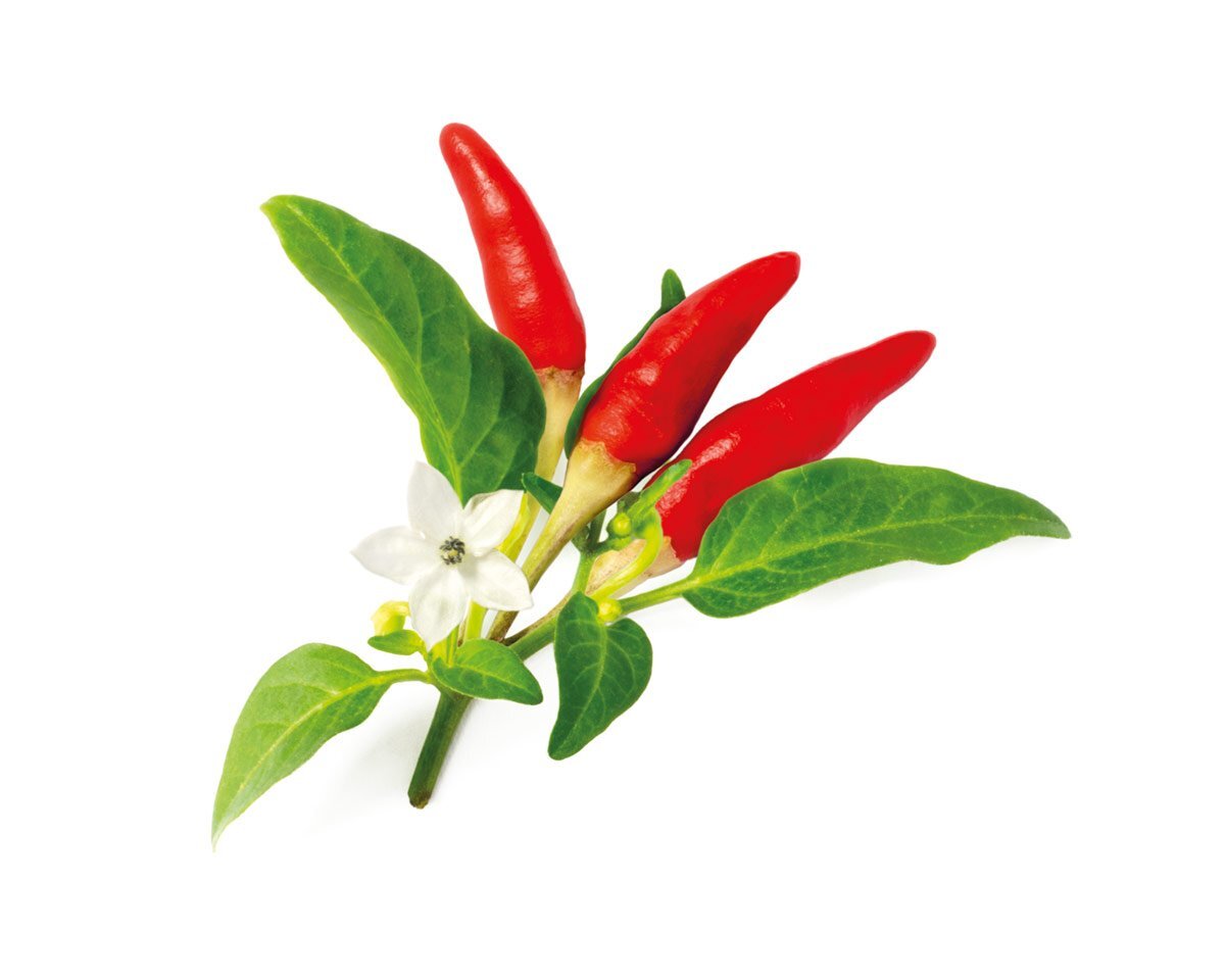 Click & Grow Red Hot Chili Pepper Plant Pods