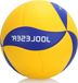 Shenzhen Haorui Industrial Technology Co., Ltd. Taille officielle 5 Souple Volley de plage pour usage intérieur et extérieur