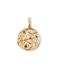 SINGULARU Charm Organic Colors Zodiaco Hanger in messing met 18 kt goud verguld