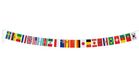 Bellatio Decorations Internationale vlaggenlijn - wereld landen vlaggen - 10 meter - polyester vlaggetjes - versiering - feestartikelen