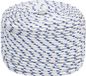 vidaXL Multifunctioneel touw 10 mm 500 m Wit en Blauw PP
