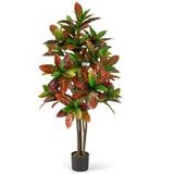 Coast Plante artificielle « Croton Palm » - tronc en bois véritable - feuilles colorées - 150 cm