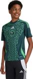 adidas Performance Algerije 24 Uitshirt Kinderen Groen 140