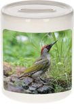 Bellatio Decorations Shoppartners Bv Dieren groene specht foto spaarpot 9 cm jongens en meisjes - Cadeau spaarpotten groene specht vogels liefhebber