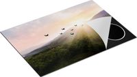 Chefcare Inductie Beschermer Silhouet Zwerm Vogels bij Zonsondergang - 75x55 cm