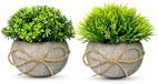 Ibenzoa® Kunstplanten Set van Eucalyptus met Decoratieve Potten