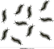 Fiestas Guirca - Decoratie insect (10 stuks) - Halloween