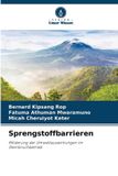OmniScriptum SRL Sprengstoffbarrieren