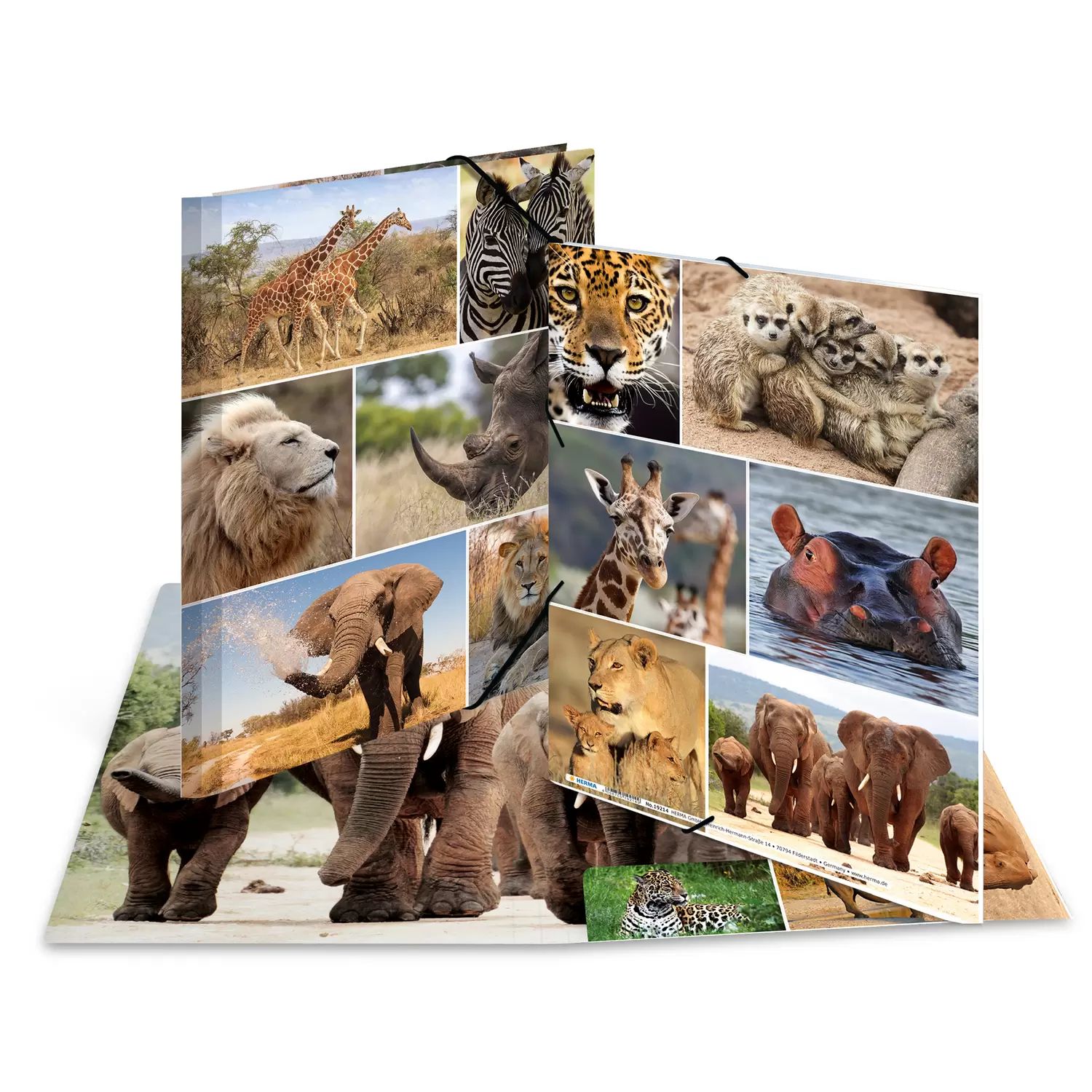 HERMA 19214 Map A4 Multicolour Cardboard 3 Flaps