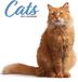 Magnet & Steel Katten Modern Kalender 2027 Wandkalender