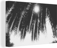 OneMillionCanvasses Canvas schilderij 140x90 cm - Palmbladeren Zwart Wit - Rechthoek - Wanddecoratie
