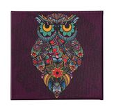 Homemania Uilenafbeelding voor woonkamer, slaapkamer, meerkleurig, 60 x 3 x 60 cm HM20KNV60x60-90, polyester, hout