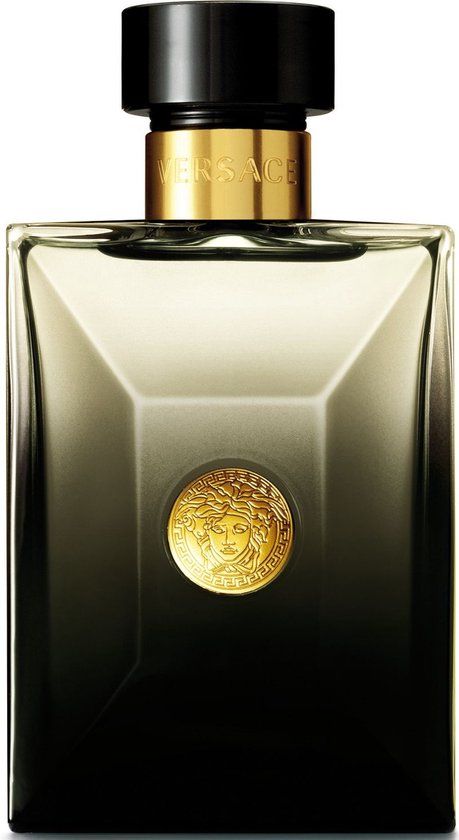 Versace Pour Homme / 100 (ml) / Mannen