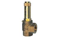 RIEGLER 105439-222.03-1,9 hoekveiligheidsventiel, zatdamp, G 1/2, responsdruk 1,9 bar, 1 stuk