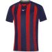 Mizuno Maillot Équipe Shimizu Jeu