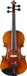 Stentor 4/4 Violine Elysia - Viool