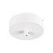 SLV Fitu Adaptateur de suspension Acier blanc Plafond IP20 220-240V 50-60Hz 26mm 9cm 178g