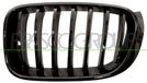 PRASCO Kühlergitter BM8072004 links | Compatibel met: BMW X3