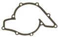 Gasket, Icecat Gasket, water pump