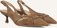 Stefano Lauran Hakken Dames St2639 Taupe Suède Kittenhak Puntige Neus Gesp