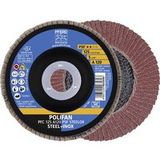 PFERD TOOLS 67749125 A Psf Steelox disque lamelle grain 120 diamètre 125 mm alésage 22.23 mm 10 pièce(s)