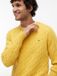 Tommy Hilfiger Classic Cotton Cable Heren Gebreide Trui Ronde Hals Lange Mouw Katoen Geel S