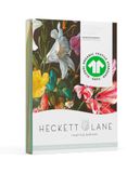 Heckett Lane Dekbedovertrek Katoen Satijn Carina - multi - 260x200/220