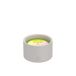 SPAAS Mini Citronella Buitenkaars Brandduur ± 15 u Levendig Groen