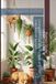 Living with Fur and Fronds: Pet-Safe Indoor Jungle