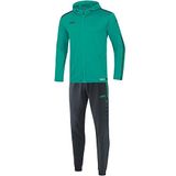 Jako - Hooded Tracksuit Striker 2.0 - Heren - Maat L - Groen