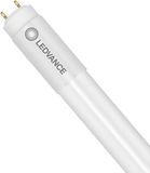 Ledvance LED Buis T8 Value (UN) High Output 24W 2550lm - 830 Warm Wit | 150cm - Vervangt 58W